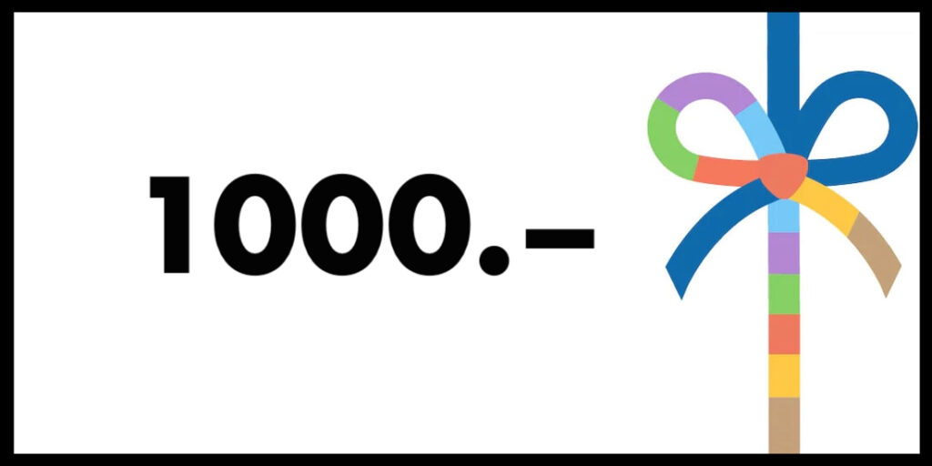 CHF 1'000 Galaxus Gutschein