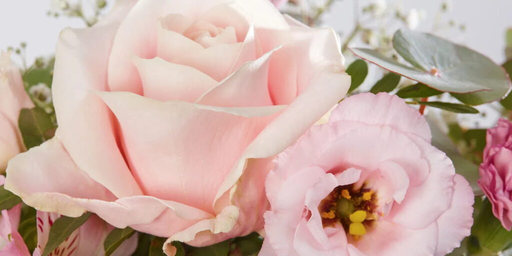 Zarter rosa Blumenstrauss mit Rosen und Lisianthus von SayFlowers – Wettbewerb: Blumenstrauss und Kinotickets für den Film The Drama gewinnen